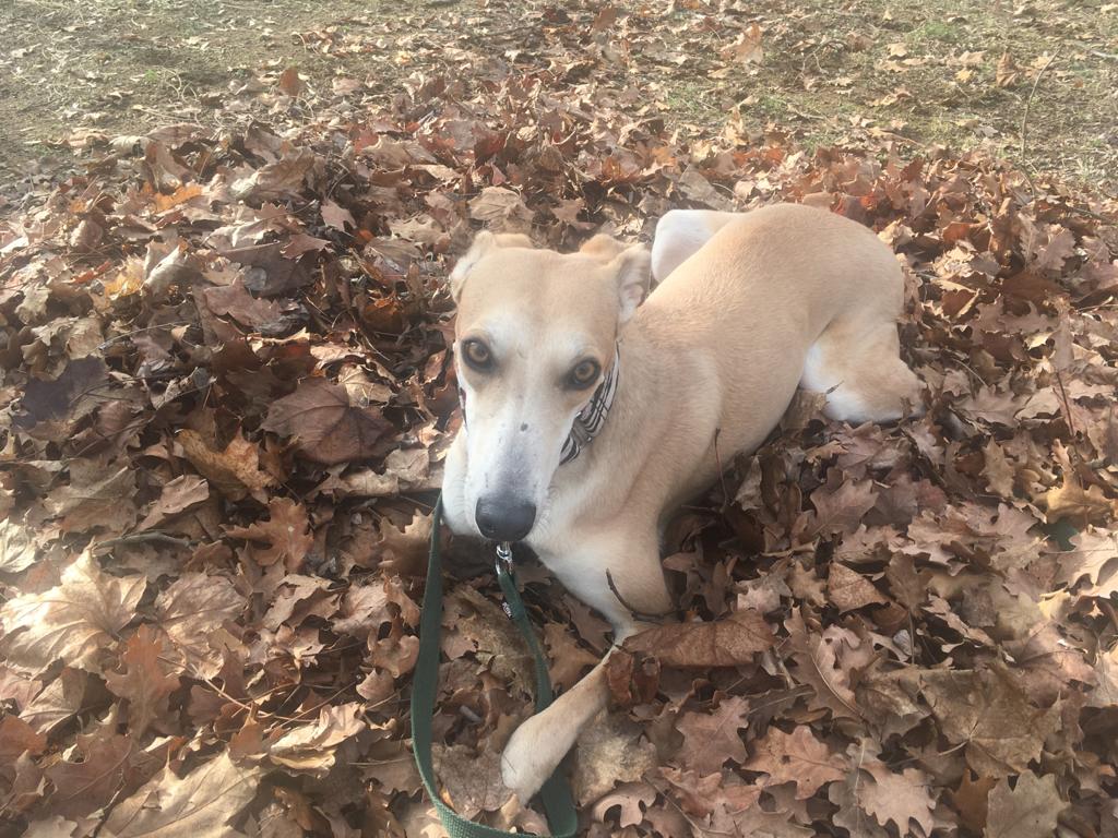 Es gab Post von unserer Lilly